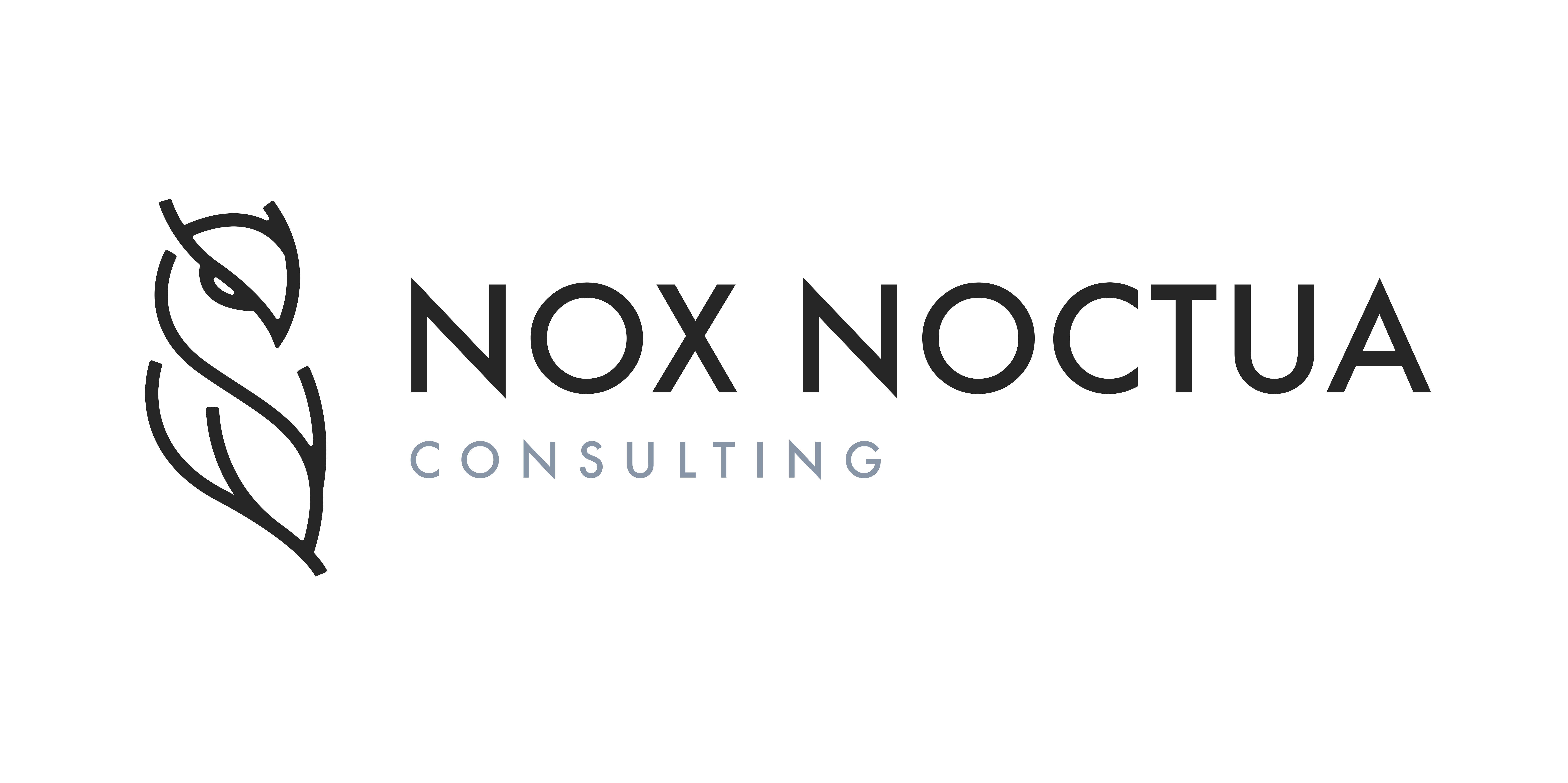 Nox Noctua Consulting